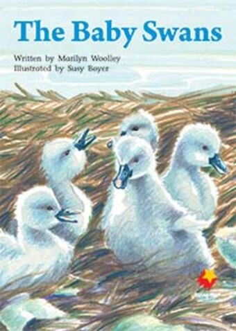 The Baby Swans book cover