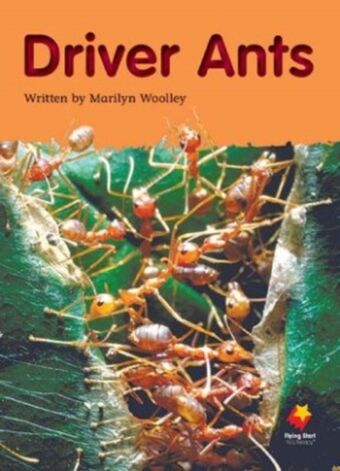 Driver Ants book cover