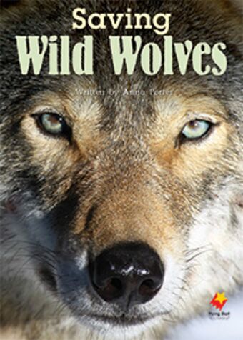 Saving Wild Wolves book cover