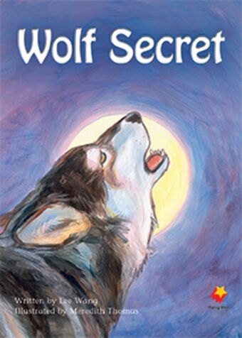 Wolf Secret book cover