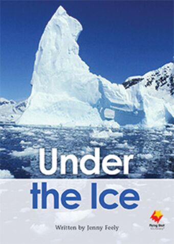 Under the Ice book cover