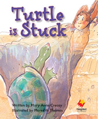 Turtle is Stuck book cover