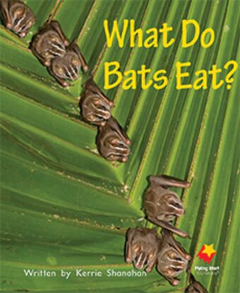 What Do Bats Eat? book cover