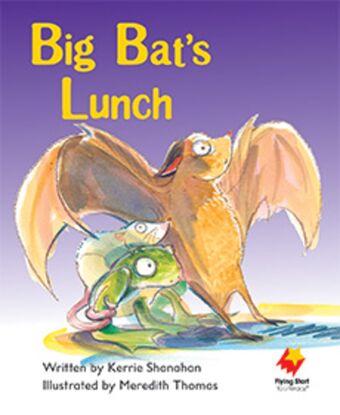 Big Bat's Lunch book cover