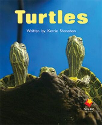 Turtles book cover