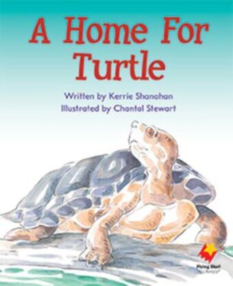 A Home For Turtle book cover