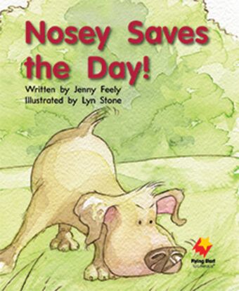 Nosey Saves The Day book cover