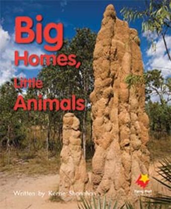 Big Homes, Little Animals book cover