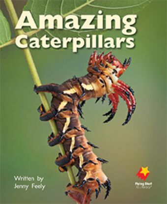 Amazing Caterpillars book cover