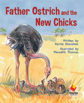 Father Ostrich and the New Chicks book cover