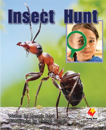 Insect Hunt book cover