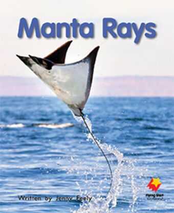 Manta Rays book cover