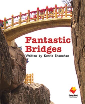 Fantastic Bridges book cover