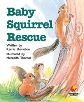 Baby Squirrel Rescue book cover