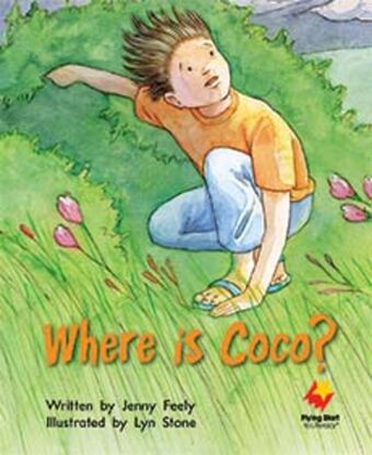 Where is Coco? book cover