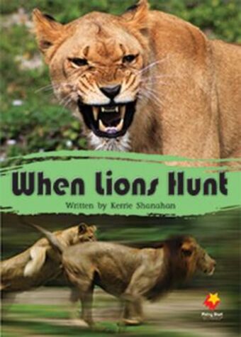 When Lions Hunt book cover