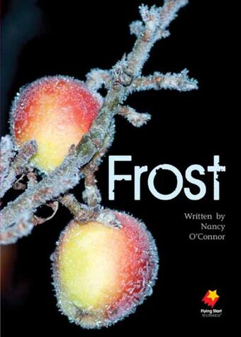 Frost book cover
