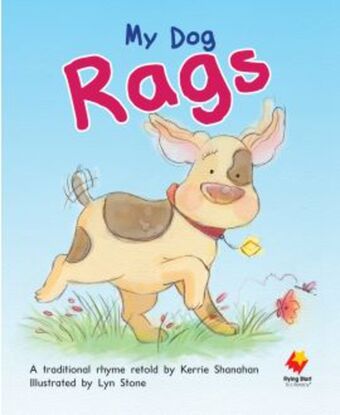 Flying Start to Literacy Shared Reading: Big Books, Pack 6 book cover