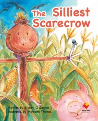 Flying Start to Literacy Shared Reading: Big Books, Pack 13 book cover