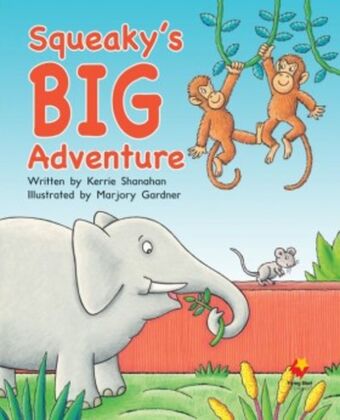 Flying Start to Literacy Shared Reading: Big Books, Pack 15 book cover