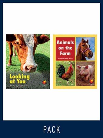 Flying Start Guided Reading Level 2, Pack 7 book cover
