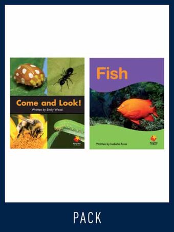 Flying Start Guided Reading Level 2, Pack 12 book cover