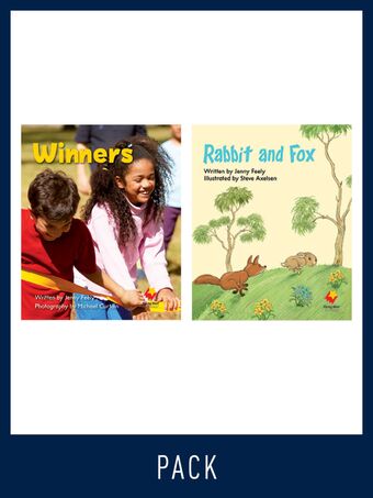 Flying Start Guided Reading Pack Level 3, Pack 3 book cover