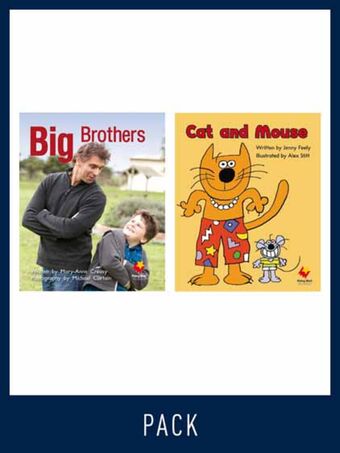 Flying Start Guided Reading Pack Level 3, Pack 5 book cover