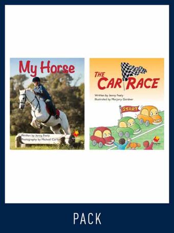 Flying Start Guided Reading Pack Level 3, Pack 1 book cover