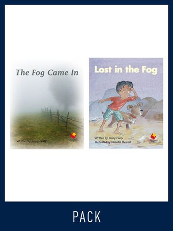 Flying Start Guided Reading Pack Level 4, Pack 4 book cover