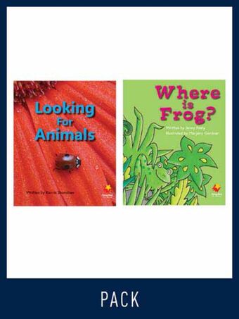 Flying Start Guided Reading Pack Level 4, Pack 1 book cover