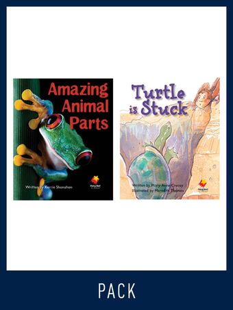 Flying Start Guided Reading Pack Level 4, Pack 2 book cover
