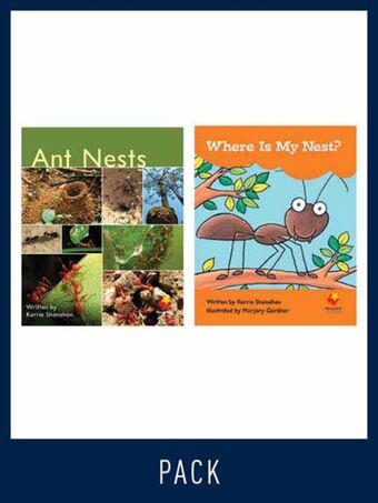 Flying Start Guided Reading Pack Level 5, Pack 3 book cover