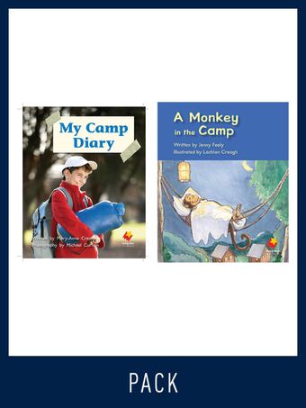 Flying Start Guided Reading Pack Level 5, Pack 5 book cover