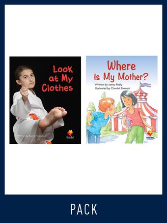 Flying Start Guided Reading Pack Level 5, Pack 1 book cover