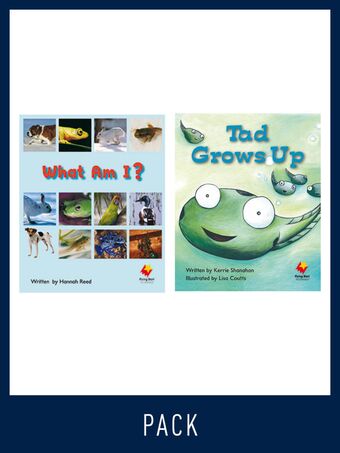 Flying Start Guided Reading Pack Level 6, Pack 3 book cover