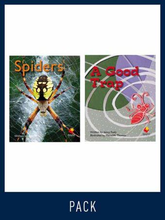 Flying Start Guided Reading Pack Level 6, Pack 4 book cover