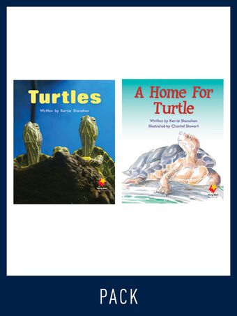 Flying Start Guided Reading Pack Level 6, Pack 1 book cover