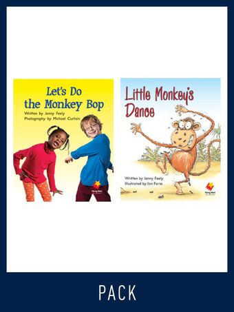 Flying Start Guided Reading Pack Level 6, Pack 2 book cover