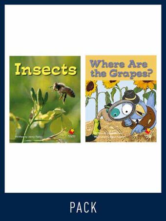 Flying Start Guided Reading Pack Level 7, Pack 3 book cover