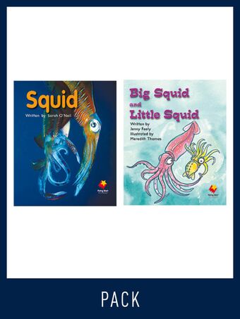 Flying Start Guided Reading Pack Level 7, Pack 4 book cover