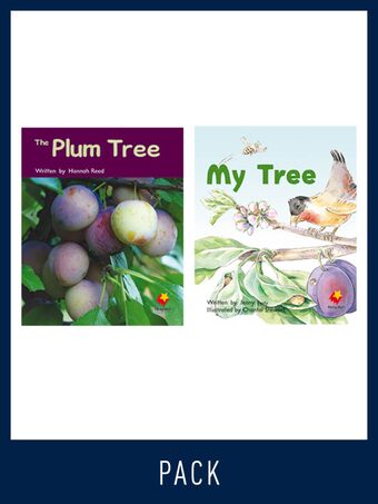 Flying Start Guided Reading Pack Level 7, Pack 5 book cover