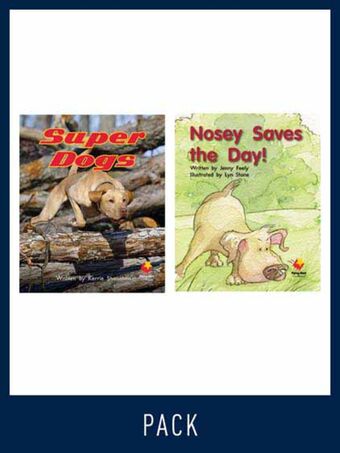 Flying Start Guided Reading Pack Level 7, Pack 2 book cover