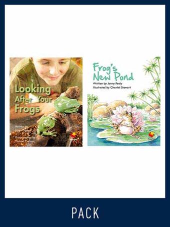 Flying Start Guided Reading Pack Level 8, Pack 5 book cover