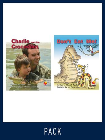 Flying Start Guided Reading Pack Level 8, Pack 1 book cover
