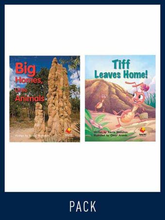 Flying Start Guided Reading Pack Level 8, Pack 2 book cover