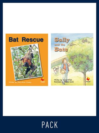 Flying Start Guided Reading Pack Level 9, Pack 3 book cover
