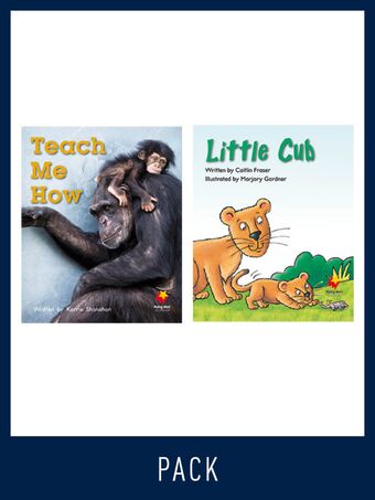 Flying Start Guided Reading Pack Level 9, Pack 4 book cover