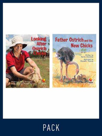 Flying Start Guided Reading Pack Level 10, Pack 1 book cover