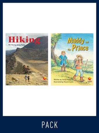 Flying Start Guided Reading Pack Level 11, Pack 5 book cover